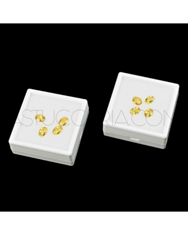 Scatola Espositore Per Gemme 5x5cm 24pz Bianco