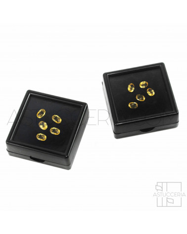 Scatola Espositore Per Gemme 6x6cm 12pz Nero
