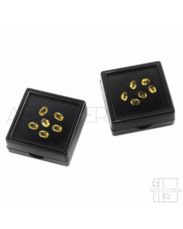 Scatola Espositore Per Gemme 7x7cm 12pz Nero