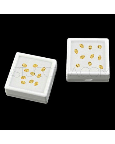 Scatola Espositore Per Gemme 9x9cm 12pz Bianco