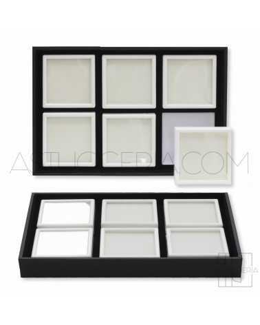 Vassoio Espositore Per Gemme Con 6 Custodie 90x90mm