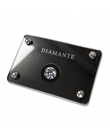 Blister Porta Diamanti In Plexiglass Con 4 Rivetti 85x55mm 6 pezzi