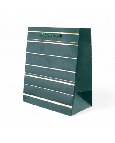 Busta Shopper Di Carta Linea NEWPORT 12x15x7cm 12 pezzi M1 Verde