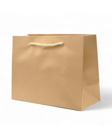 Busta Shopper Di Carta Linea NIZZA 23x18x10cm 12 pezzi Oro