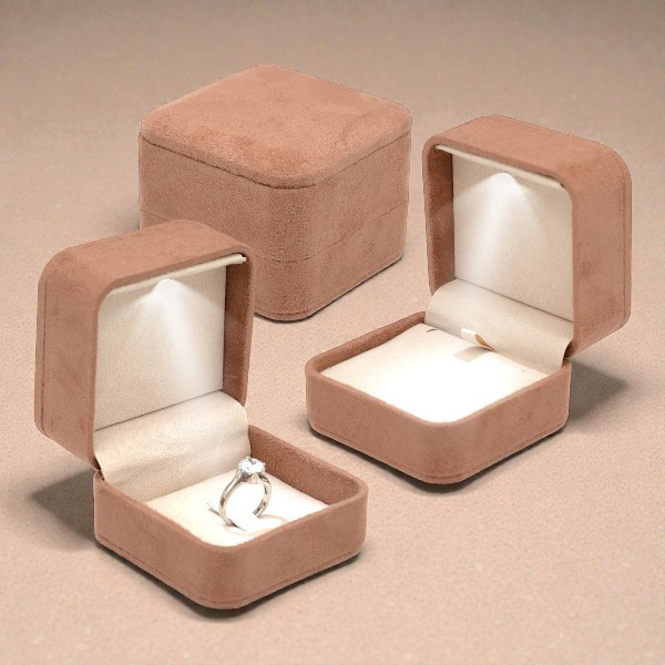 LINEA LATINA TORTORA